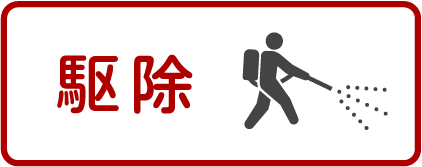 駆除