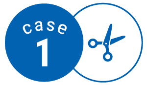 case1
